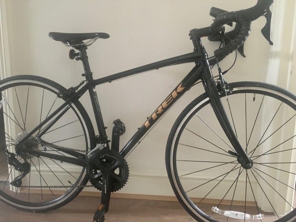 domane al 5 2019